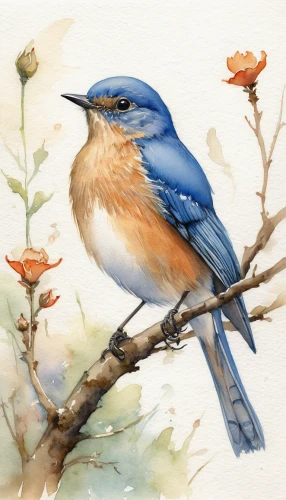 tickell's blue flycatcher,western bluebird,eastern bluebird,male bluebird,bluebird female,bird painting,watercolor bird,bluebird,rufous,bluebird perched,blue birds and blossom,bird illustration,flower and bird illustration,baby bluebirds,flycatcher,spring bird,old world flycatcher,blue bird,song bird,blue wren,Conceptual Art,Sci-Fi,Sci-Fi 19