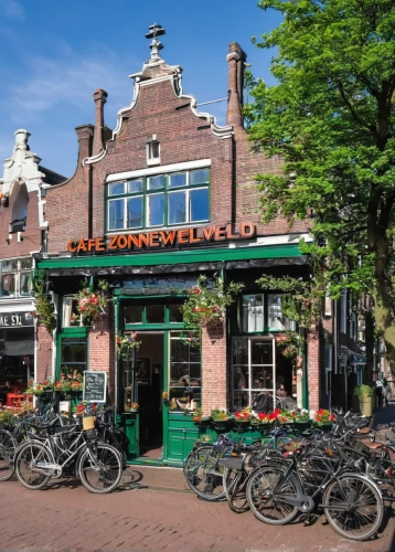 irish pub,brouwerij bosteels,pub,groningen,amsterdam,rathauskeller,the pub,hilvarenbeek,delft,noorderleech,willemstad,kampen,stadtplaung,dutch cuisine,frisian house,groenendael,bike land,utrecht,wine tavern,drentse patrijshond,Conceptual Art,Sci-Fi,Sci-Fi 18