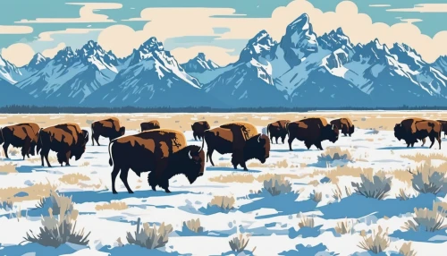 buffalo herd,bison,buffalo herder,buffalo,mountain cows,buffaloes,buffalos,teton,mammoth,grand teton,grizzlies,muskox,yellowstone,buffalo plaid red moose,brown bears,animal migration,horned cows,grand tetons,the herd,oxen,Illustration,Japanese style,Japanese Style 06