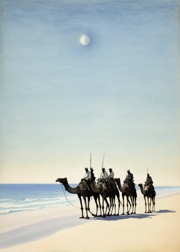 camel caravan,camel train,dromedaries,camelride,camels,rem in arabian nights,libyan desert,dromedary,camelid,nomadic people,two-humped camel,shadow camel,arabian camel,orientalism,bedouin,desert landscape,capture desert,sleigh ride,camel,sahara desert,Illustration,Black and White,Black and White 23