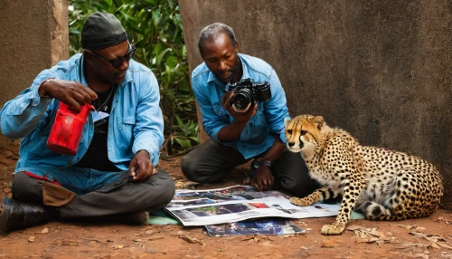 people reading newspaper,reading the newspaper,newspaper reading,wildlife biologist,african businessman,blonde woman reading a newspaper,national geographic,photographers,nature photographer,dices over newspaper,animal photography,examining,photographing,photographer,newspaper delivery,african leopard,business meeting,transaction,photo shoot with a lion cub,newspapers,Conceptual Art,Graffiti Art,Graffiti Art 04