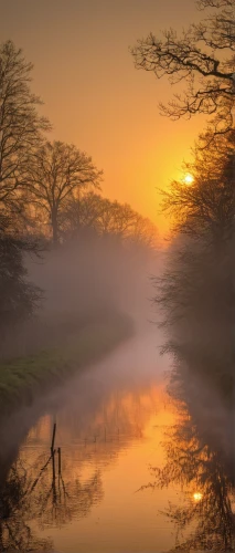 morning mist,foggy landscape,reflection in water,mirror in the meadow,water reflection,daybreak,dutch landscape,sun reflection,reflections in water,water mirror,river wharfe,autumn fog,mirror water,river landscape,netherlands,tranquility,the netherlands,backwater,landscape photography,nature landscape,Illustration,Children,Children 01