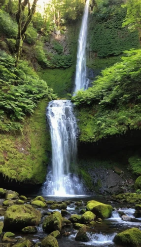 ash falls,green waterfall,water falls,ilse falls,brown waterfall,bridal veil fall,a small waterfall,falls,cascading,water fall,cascades,waterfall,wasserfall,waterfalls,bond falls,falls of the cliff,salt creek falls,the chubu sangaku national park,cascade,cheonjiyeon falls,Illustration,Realistic Fantasy,Realistic Fantasy 36