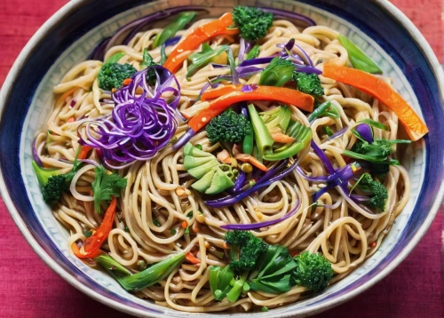 lo mein,chowmein,soba noodles,colorful pasta,yaki udon,soba,noodle bowl,udon noodles,singapore-style noodles,thai noodles,okinawa soba,yaka mein,glass noodle salad,noodle soup,yakisoba,chow mein,stir-fry,thai northern noodle,thai noodle,udon,Illustration,Realistic Fantasy,Realistic Fantasy 20