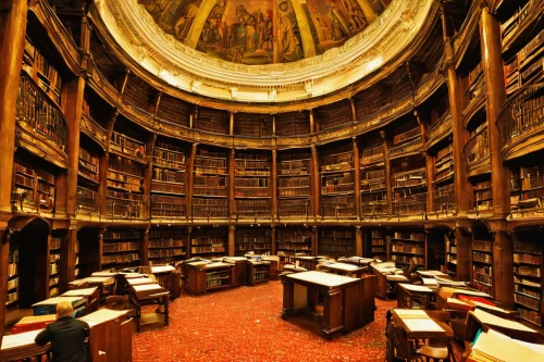 reading room,court of law,old library,library,celsus library,the interior of the,study room,musei vaticani,parliament of europe,boston public library,court of justice,library of congress,university library,bibliology,athenaeum,bookshelves,treasury,lecture hall,library book,cathedral of modena,Conceptual Art,Fantasy,Fantasy 04
