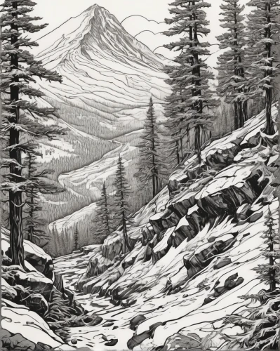 salt meadow landscape,snowy peaks,silvertip fir,snow drawing,mountain scene,moutains,mountains,mountain landscape,snow mountains,snowy mountains,mount hood,larch forests,mountains snow,coniferous forest,cascade mountain,mountain ranges,pencil drawings,mountain,spruce forest,snow landscape,Illustration,Black and White,Black and White 01