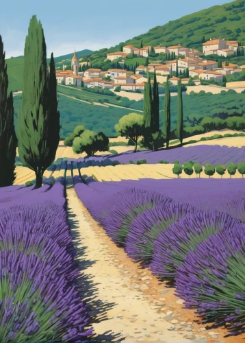 provence,lavender fields,lavender field,lavenders,provencal life,lavander,lavendar,french lavender,purple landscape,lavender cultivation,tuscan,the lavender flower,olive grove,lavandula,la violetta,tuscany,lavender flowers,campagna,lavender,south of france,Conceptual Art,Daily,Daily 08