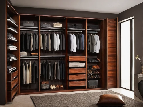 walk-in closet,wardrobe,closet,armoire,storage cabinet,women's closet,room divider,dresser,modern room,shelving,lisaswardrobe,modern style,cabinetry,bookcase,search interior solutions,cupboard,organized,organization,one-room,dressing room,Illustration,Paper based,Paper Based 26