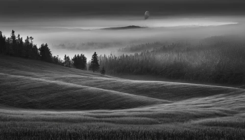 foggy landscape,foggy mountain,fog banks,wave of fog,salt meadow landscape,mist,carpathians,black landscape,rolling hills,morning mist,boomerang fog,mountain meadow,ground fog,landscape photography,veil fog,autumn fog,monochrome photography,andreas cross,mountain landscape,hills,Illustration,Realistic Fantasy,Realistic Fantasy 41