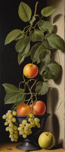 apricots,still life of spring,yellow plums,kumquats,fruit tree,fruits plants,persimmon tree,orange tree,persimmons,lemon tree,still-life,fruit trees,kumquat,summer still-life,tangerine fruits,the fruit,apricot,still life,plums,tangerine tree,Illustration,Realistic Fantasy,Realistic Fantasy 11