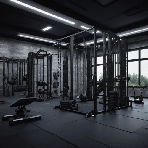 fitness room,fitness center,weightlifting machine,strength athletics,training apparatus,exercise equipment,workout equipment,leisure facility,free weight bar,gymnastics room,facility,strength training,overhead press,horizontal bar,weightlifting,weight lifting,gym,circuit training,weight training,weights,Illustration,Realistic Fantasy,Realistic Fantasy 17