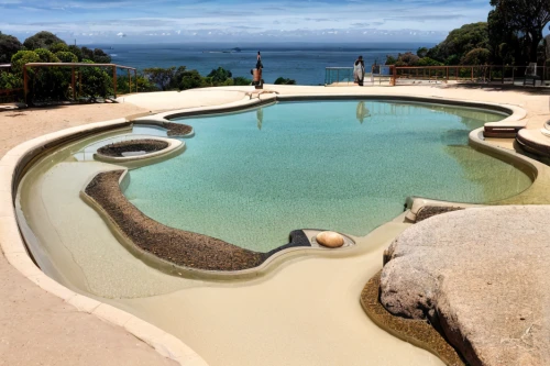 dug-out pool,infinity swimming pool,volcano pool,landscape design sydney,landscape designers sydney,outdoor pool,swim ring,swimming pool,mona vale,garden design sydney,crescent spring,pool water surface,dolphin fountain,pool house,pool water,water feature,bondi,pool cleaning,roof top pool,tide pool