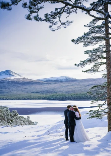 wedding photography,finnish lapland,wedding photographer,wedding photo,pre-wedding photo shoot,lapland,snow in pine trees,wedding couple,bride and groom,wicklow,trossachs national park - dunblane,snow scene,winter background,snowy landscape,falkland,snow fields,walking down the aisle,loch drunkie,wintry,snow in pine tree,Illustration,Black and White,Black and White 19