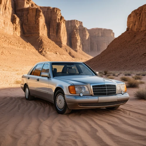 mercedes-benz w124,mercedes-benz w126,mercedes-benz 500e,mercedes-benz w123,mercedes benz w123,mercedes-benz 280s,mercedes-benz 170v-170-170d,rolls-royce silver seraph,mercedes-benz w120,mercedes-benz 450sel 6.9,mercedes-benz 600,mercedes 300,rolls-royce silver dawn,station wagon-station wagon,ford five hundred,w124,ford ltd crown victoria,lincoln navigator,daimler sovereign,w126,Photography,General,Natural