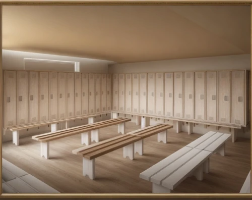 cabinetry,locker,examination room,changing rooms,changing room,dugout,cabinets,lecture hall,sauna,lecture room,compartments,wooden sauna,empty hall,school benches,gymnastics room,conference room,rest room,school design,washroom,treatment room,Common,Common,Natural