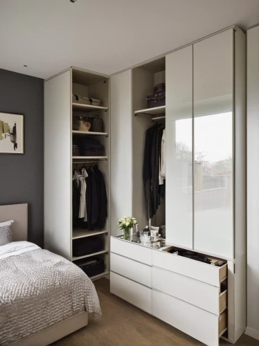 walk-in closet,modern room,room divider,armoire,bedroom,wardrobe,modern decor,dresser,contemporary decor,guest room,modern style,danish room,storage cabinet,closet,search interior solutions,dressing table,one-room,hinged doors,guestroom,chiffonier,Illustration,Japanese style,Japanese Style 17