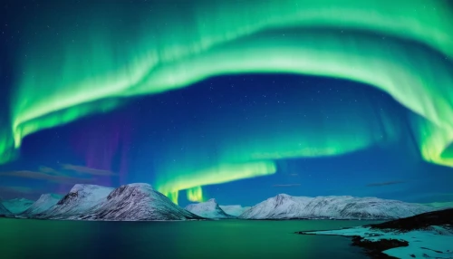 northen lights,norther lights,auroras,northern lights,the northern lights,nothern lights,northern light,green aurora,northen light,polar lights,aurora borealis,greenland,aurora australis,northernlight,polar aurora,nordland,aurora,borealis,aurora polar,southern aurora,Art,Artistic Painting,Artistic Painting 33