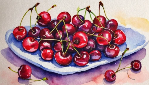 cherries in a bowl,watercolor fruit,cherries,jewish cherries,heart cherries,bubble cherries,sweet cherries,rose hip berries,sour cherries,cherry branch,rosehip berries,berries on yogurt,rose hip fruits,lingonberry,lingonberry jam,berries,red grapes,berry fruit,wild cherry,summer fruit,Art,Artistic Painting,Artistic Painting 26