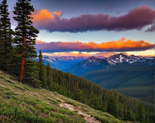 alpine meadows,mountain meadow,mountain sunrise,mountain landscape,mount rainier,rocky mountain,united states national park,salt meadow landscape,beautiful landscape,alpine sunset,alpine meadow,colorado,mountainous landscape,rocky mountains,nature landscape,landscapes beautiful,the landscape of the mountains,the beauty of the mountains,background view nature,white mountains,Art,Artistic Painting,Artistic Painting 33