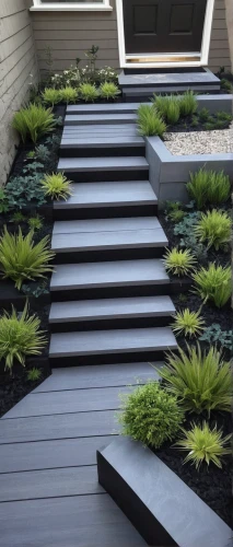 landscape designers sydney,landscape design sydney,garden design sydney,wooden decking,decking,turf roof,terraced,plant bed,perennial plants,black paint stripe,paving slabs,grass roof,climbing garden,wood deck,outdoor plants,landscaping,flat roof,garden elevation,artificial grass,start garden,Illustration,Black and White,Black and White 12