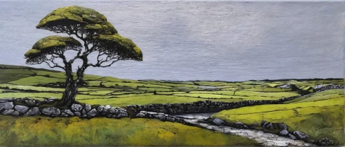 brook landscape,wensleydale,yorkshire dales,malham cove,moorland,river birch,wicklow,olive tree,small landscape,exmoor,gap of dunloe,mountain alder,elm tree,yorkshire,bare tree,donegal,carol colman,hawthorn,rural landscape,ash tree,Conceptual Art,Daily,Daily 09