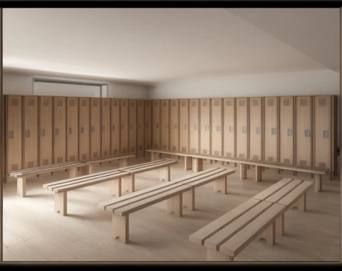 changing rooms,dugout,changing room,cabinetry,school benches,school design,wooden mockup,fitness room,cabinets,locker,gymnastics room,lecture hall,conference room,examination room,school desk,the court sandalwood carved,empty hall,table shuffleboard,fitness center,conference table,Common,Common,Natural