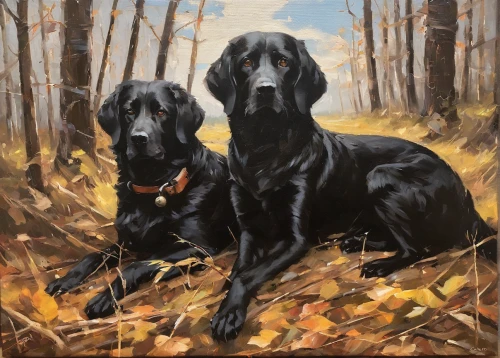 hunting dogs,field spaniel,boykin spaniel,black and tan,flat-coated retriever,gordon setter,labrador retriever,hunting dog,two dogs,piasecki hup retriever,two running dogs,three dogs,fila brasileiro,color dogs,oil painting,giant schnauzer,bloodhound,hound dogs,labrador,oil painting on canvas,Conceptual Art,Oil color,Oil Color 12