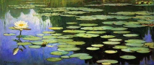 water lilies,lotus on pond,lilly pond,nymphaea,lily pond,lillies,lilies,lotuses,white water lilies,lily pads,lotus,waterlily,pond flower,water-the sword lily,swamp iris,water lilly,lotus pond,nimphaea,water lotus,lily pad,Conceptual Art,Oil color,Oil Color 05