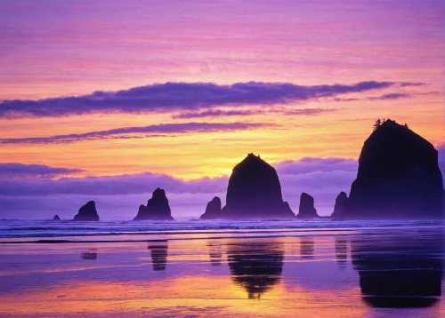 ruby beach,purple landscape,oregon,coast sunset,pacific coastline,new zealand,beautiful beaches,splendid colors,the pacific ocean,sunrise beach,south island,pink dawn,pacific,beach landscape,purple wallpaper,landscapes beautiful,atmosphere sunrise sunrise,purple and gold,beautiful landscape,sunset beach,Illustration,Retro,Retro 05