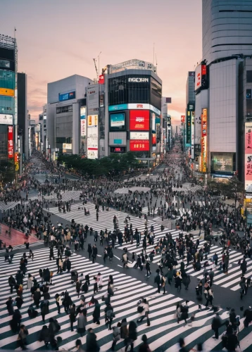 shibuya crossing,shibuya,shinjuku,tokyo,japan's three great night views,tokyo ¡¡,harajuku,osaka,japan,tokyo city,japan landscape,ginza,osaka station,asakusa,japanese background,beautiful japan,japan place,japanese waves,intersection,japanese culture,Illustration,Japanese style,Japanese Style 10