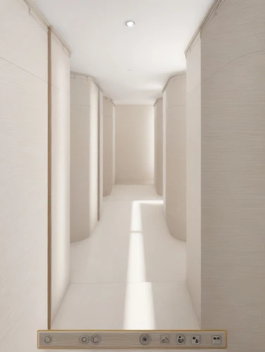 hallway space,hallway,walk-in closet,corridor,3d rendering,modern minimalist bathroom,room divider,render,shower base,under-cabinet lighting,daylighting,ceiling construction,white room,concrete ceiling,recessed,search interior solutions,shower door,drywall,floorplan home,wall plaster,Common,Common,Natural