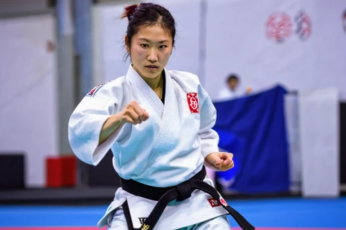 taekkyeon,kajukenbo,amnat charoen,shidokan,sambo (martial art),shorinji kempo,haidong gumdo,japanese martial arts,kurash,judo,ebi no shioyaki,tang soo do,taekwondo,mari makinami,dobok,black belt,hapkido,iaijutsu,aikido,choi kwang-do,Art,Classical Oil Painting,Classical Oil Painting 10