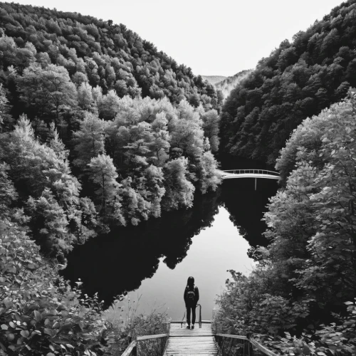 ladybower reservoir,saar loop,auwaldsee,artvin,plitvice,titisee,bad urach,loch drunkie,the descent to the lake,starnberger lake,danube gorge,glendalough,monschau,neckar,kleinbild film,scenic bridge,chain bridge,ardennes,aare,to the river,Illustration,Black and White,Black and White 16