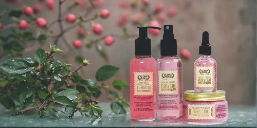 argan trees,flower essences,argan tree,natural cosmetics,women's cosmetics,soapberry family,lavander products,spa items,rose water,natural perfume,beauty products,cosmetic products,bath oil,vosges-rose,beauty product,natural cosmetic,wild roses,cat paw mist,body oil,product photography
