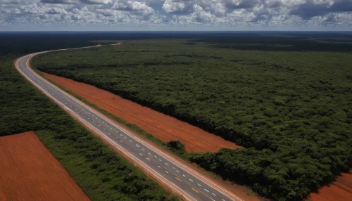 paraguayian guarani,northeast brazil,mato grosso,maranhao,herman national park,panamericana,gregory highway,tropical and subtropical coniferous forests,caatinga,palm oil,kalimantan,aerial photography,hume highway,alligator alley,deforested,air strip,northern territory,aerial photograph,pine forest,croatia a1 highway,Unique,3D,Toy