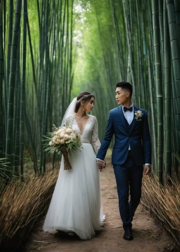 bamboo forest,wedding photography,wedding photo,wedding couple,walking down the aisle,wedding photographer,bamboo plants,bride and groom,bamboo curtain,wedding frame,just married,hawaii bamboo,beautiful couple,bamboo frame,pre-wedding photo shoot,silver wedding,wedding banquet,newlyweds,wedding ceremony,forest background,Photography,Documentary Photography,Documentary Photography 22