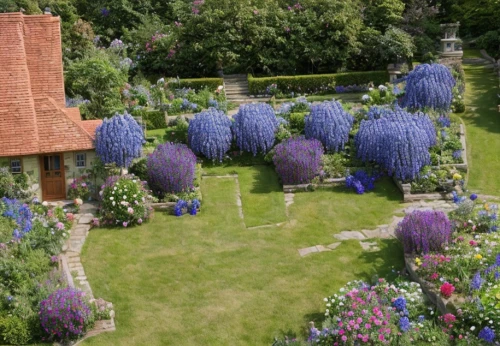 cottage garden,lavandula,the garden,caryopteris pagoda,flower borders,thatch roof,muscari armeniacum,english garden,lavender cultivation,garden,garden buildings,summer border,gardens,english lavender,thatch umbrellas,dovecote,climbing garden,giverny,flower border,lilac arbor,Landscape,Garden,Garden Design,Cottage Garden