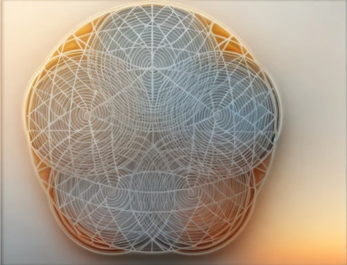 runestone,kippah,crystal egg,gradient mesh,egg,egg net,wireframe,bisected egg,mandala framework,geometric ai file,cracked egg,egg shell,wireframe graphics,bird's egg,lotus stone,lid,brain icon,carapace,3d model,circular ornament,Common,Common,Natural