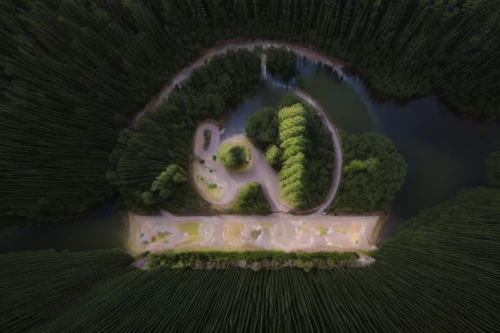 house in the forest,crown render,crown of the place,airbnb logo,house pineapple,garden logo,aerial landscape,forest chapel,queen-elizabeth-forest-park,peter-pavel's fortress,environmental art,drone image,aerial shot,fairy tale castle,luxury property,from above,parks,private estate,trees with stitching,home of apple,Realistic,Landscapes,Verdant