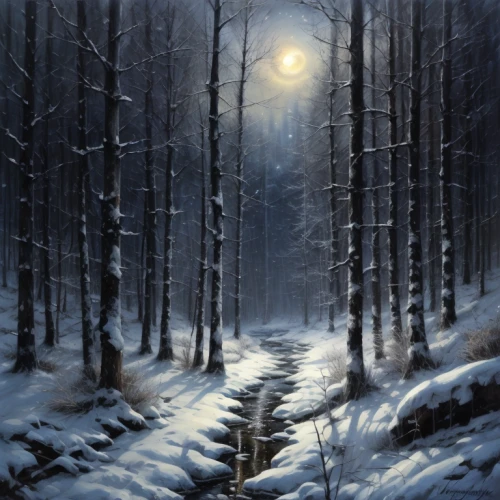 winter forest,winter landscape,snow landscape,snow scene,winter dream,christmas landscape,snowy landscape,birch forest,winter background,forest landscape,night snow,birch alley,fir forest,winter magic,snow trees,snow trail,wintry,black forest,midnight snow,coniferous forest