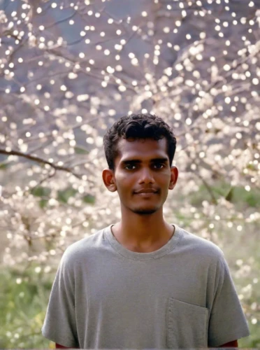 devikund,amitava saha,dandelion flying,bokeh effect,kabir,pakistani boy,ixora,mumuration,background bokeh,indian jasmine,indian monk,bangladeshi taka,dandelion field,benagil,sigiriya,dhansak,dal,diwali,composite,harau