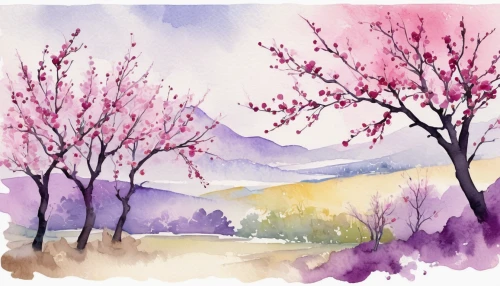 plum blossoms,almond trees,almond blossoms,apricot blossom,almond blossom,takato cherry blossoms,watercolor background,blooming trees,cherry trees,plum blossom,almond tree,sakura trees,watercolor tree,flowering trees,spring blossoms,japanese cherry trees,watercolor wine,cherry blossoms,the cherry blossoms,orchards,Illustration,Paper based,Paper Based 25