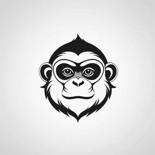 monkey,primate,chimp,chimpanzee,gorilla,siamang,the monkey,gibbon 5,animal icons,ape,monkeys band,dribbble,primates,great apes,gray icon vectors,three monkeys,monkeys,dribbble icon,common chimpanzee,social logo,Unique,Design,Logo Design