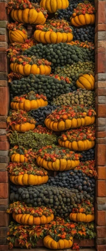 decorative squashes,ornamental gourds,gourds,harvested fruit,striped pumpkins,cucuzza squash,squash,cucurbita,solanaceae,fruit market,autumn pumpkins,crate of fruit,autumn fruits,dried bananas,autumn fruit,dried fruit,cornucopia,dried apricots,winter squash,wall of bricks,Photography,General,Natural