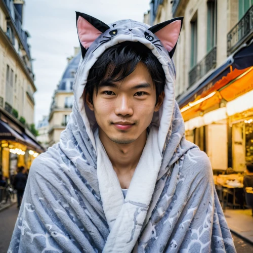 jiji the cat,cat kawaii,street cat,cat european,kitsune,shiba,young cat,asian semi-longhair,kawaii boy,cat ears,cute cat,nyan,stray cat,bonjour bongu,japanese kawaii,shiba inu,domestic short-haired cat,cat image,cute fox,asian tiger,Illustration,Japanese style,Japanese Style 10