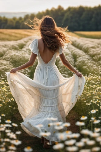 gracefulness,chamomile in wheat field,girl in a long dress,girl in white dress,girl in a long dress from the back,meadows of dew,sun bride,whirling,little girl in wind,country dress,meadow play,girl walking away,blooming field,white dress,meadow,twirling,twirl,falling flowers,wedding dress,passion photography,Photography,General,Commercial