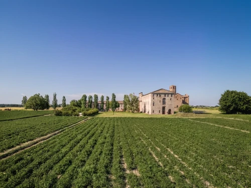 monbazillac castle,dji agriculture,monferrato,grain field panorama,chateau,fortified church,chateau margaux,villa balbiano,agricultural,san galgano,pilgrimage church of wies,cultivated field,grand bleu de gascogne,campagna,dovecote,moated castle,castle vineyard,piemonte,country house,bethlen castle