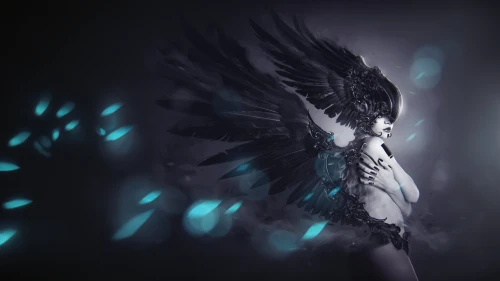 dark angel,harpy,black angel,fallen angel,feathers,winged heart,black feather,uriel,wings,raven's feather,angel of death,black raven,feathers bird,angel wing,limenitis,aporia,winged,feather,white feather,archangel