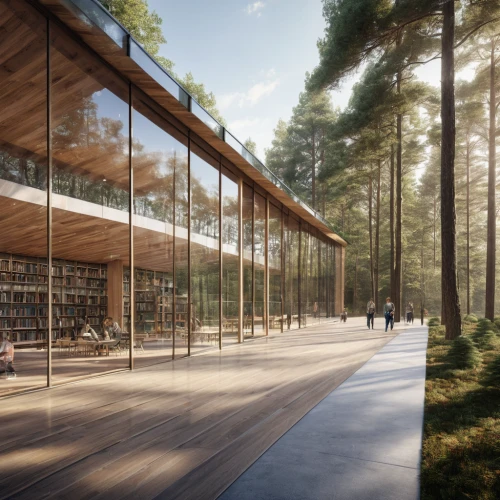 school design,timber house,forest chapel,forest workplace,daylighting,house in the forest,archidaily,eco-construction,pine forest,library,reading room,3d rendering,wooden construction,public library,eco hotel,render,home of apple,university library,glass facade,dunes house,Photography,General,Natural