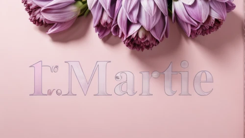 pink floral background,marguerite,mantle,mauve,margarite,cape marguerite,cape marguerites,floral digital background,vintage lavender background,tulip background,floral mockup,mazarine blue,floral background,european marsh thistle,watercolor floral background,book cover,marguerite daisy,chrysanthemum background,flower wall en,pink hyacinth,Realistic,Fashion,Romantic And Dreamy